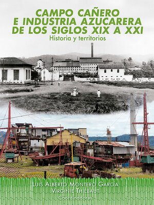 cover image of Campo cañero e industria azucarera de los siglos XIX a XXI